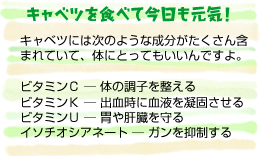 キャベツを食べて今日も元気！